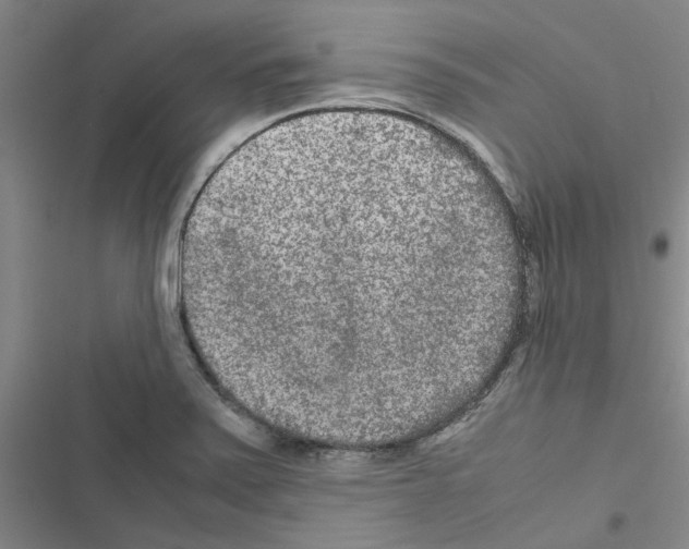 X0000116561371201001211214