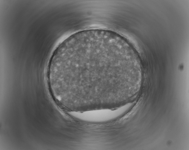 X0000116561373201001211214