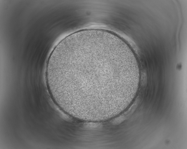 X0000116561374201001211214