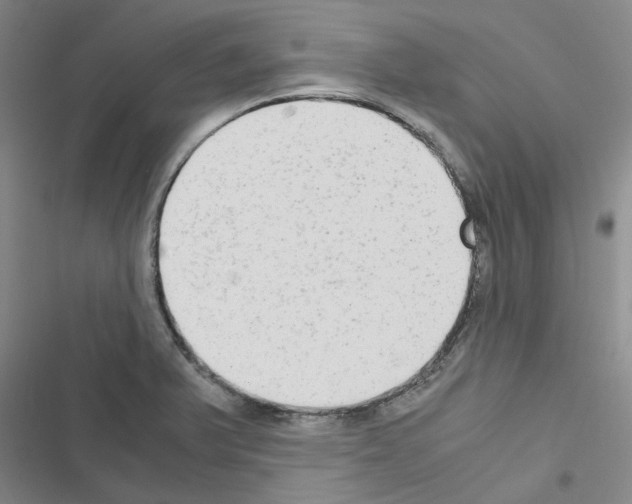 X0000116561375201001211214