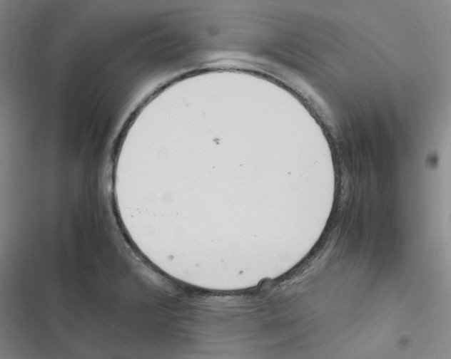 X0000116561376201001211214
