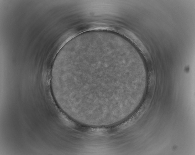 X0000116561377201001211214