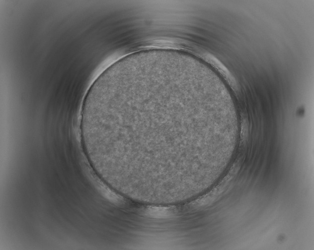 X0000116561378201001211214