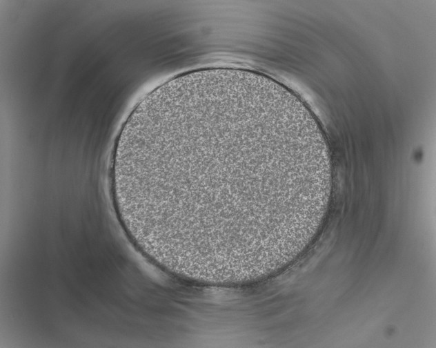 X0000116561379201001211214