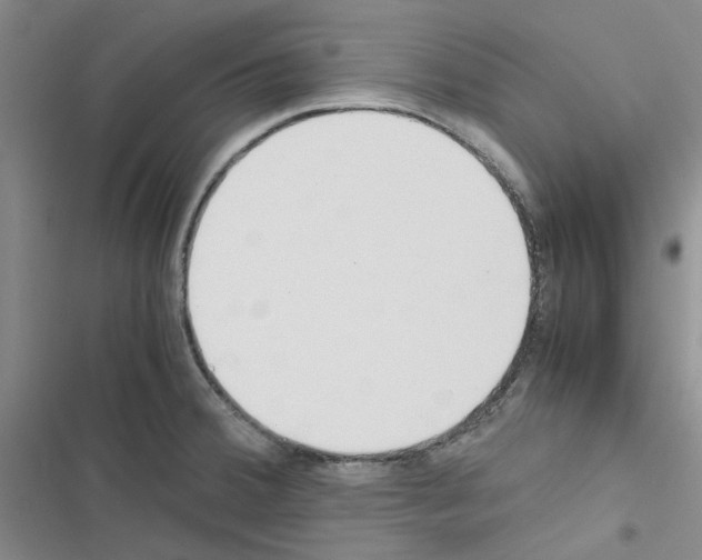 X0000116561380201001211214