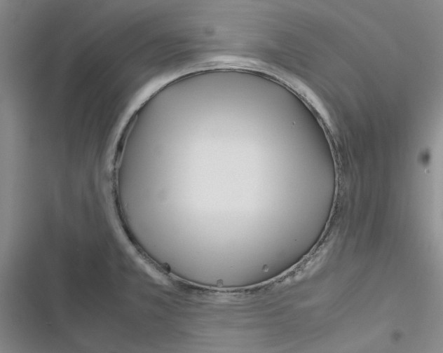 X0000116561381201001211214