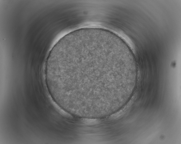 X0000116561382201001211214