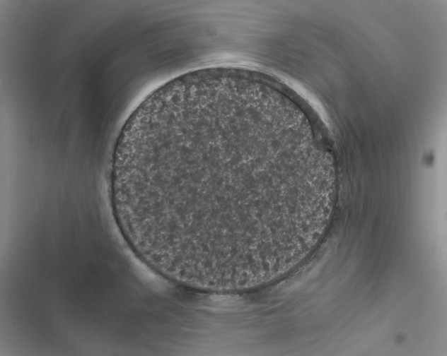 X0000116561383201001211213