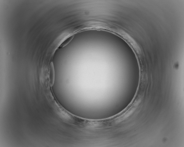 X0000116561385201001211213