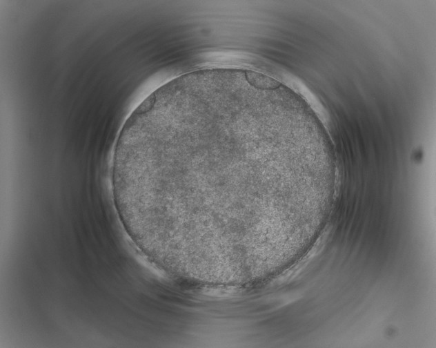 X0000116561386201001211213