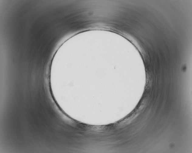 X0000116561387201001211213