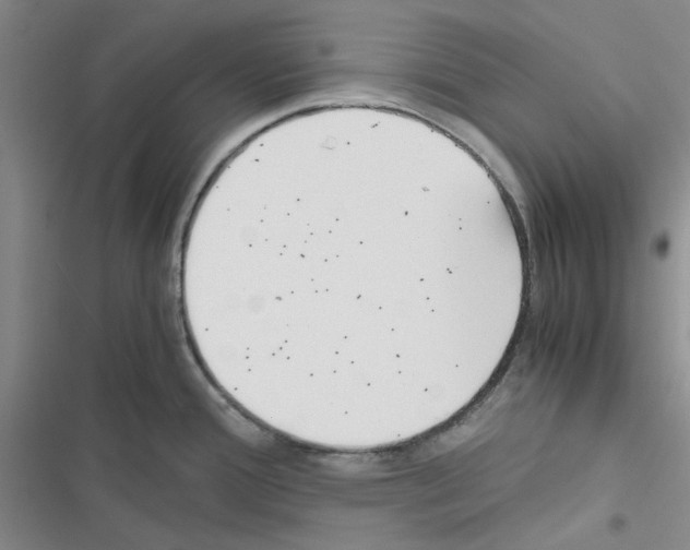 X0000116561388201001211213