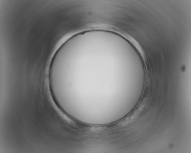X0000116561389201001211213