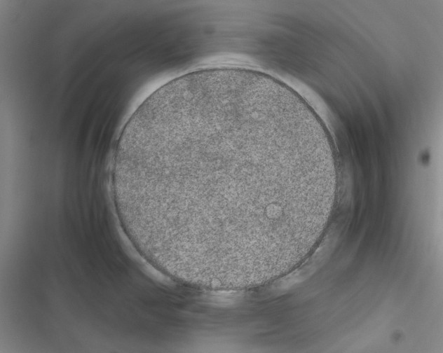 X0000116561390201001211213