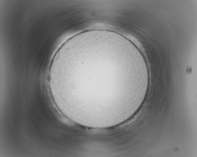 X0000116561392201001211213