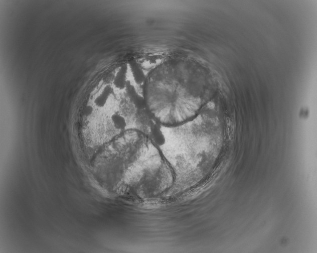 X0000116561393201001211213