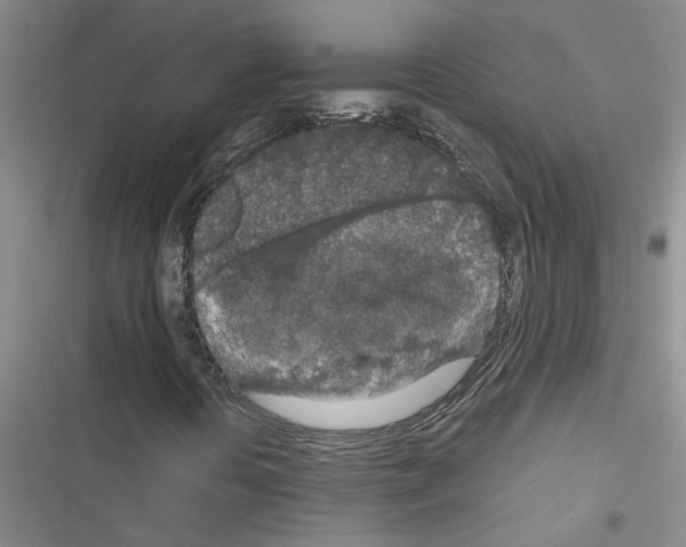 X0000116561394201001211213
