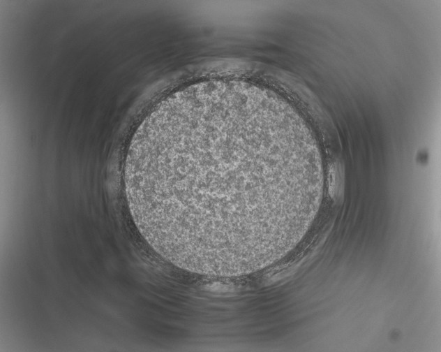 X0000116561395201001211213