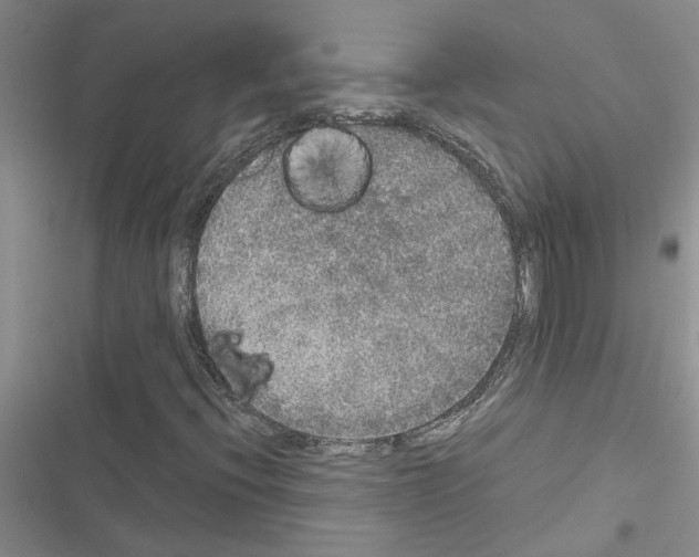 X0000116561396201001211213