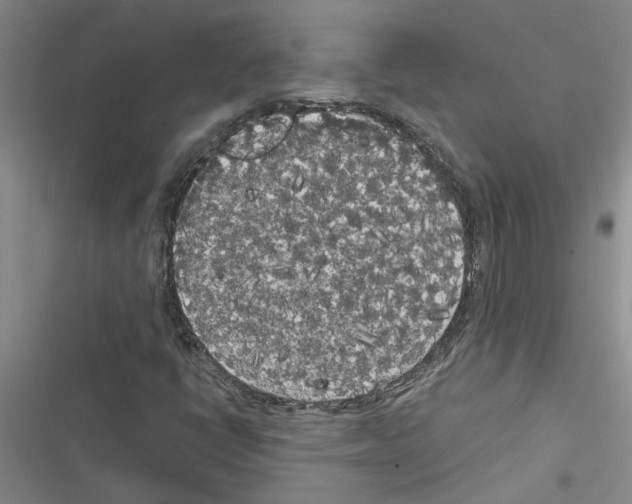 X0000116561398201001211213