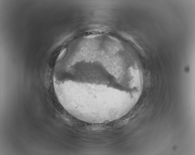 X0000116561399201001211213