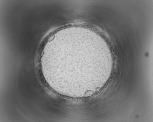 X0000116561400201001211213