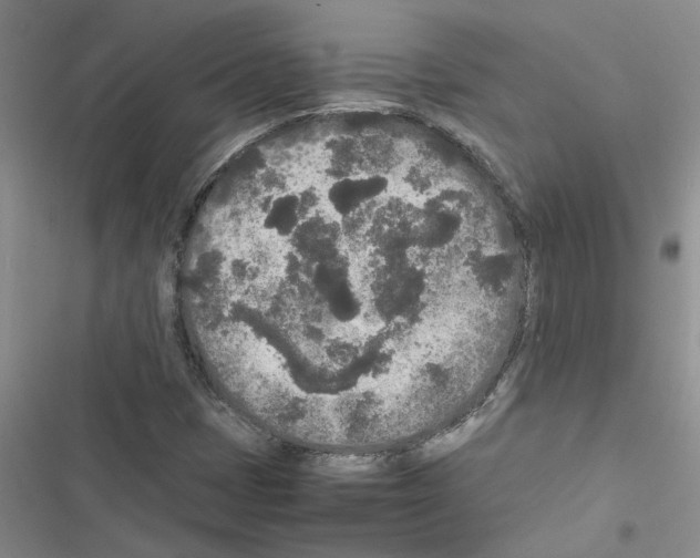 X0000116561401201001211213