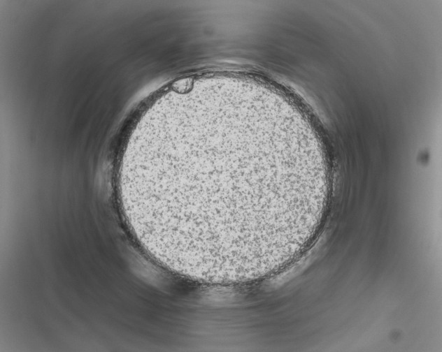 X0000116561402201001211213