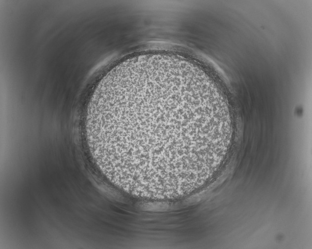 X0000116561403201001211213