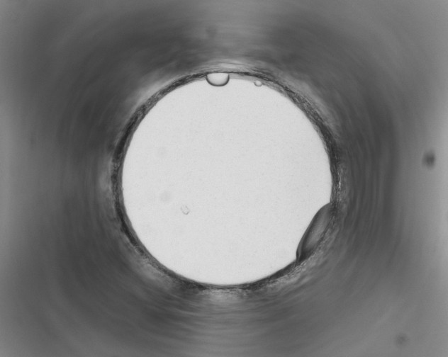 X0000116561404201001211213