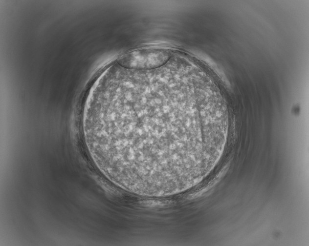 X0000116561405201001211213