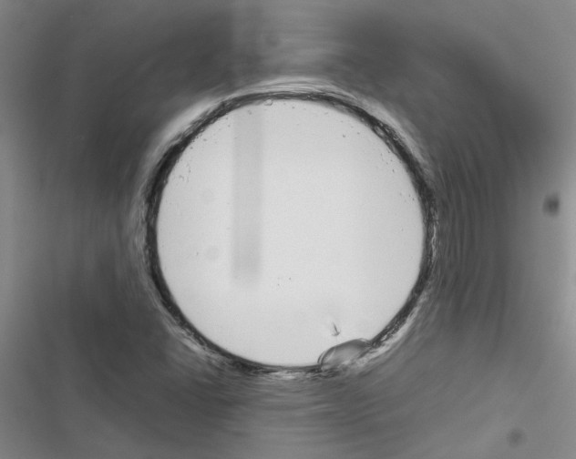 X0000116561406201001211213