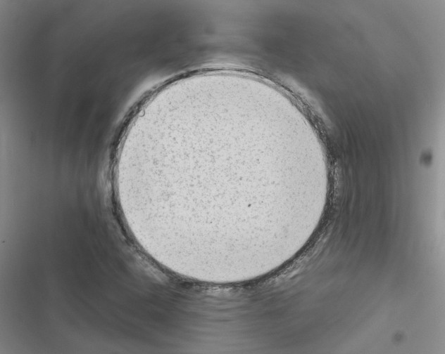 X0000116561408201001211213