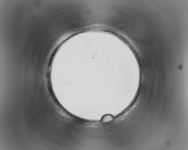 X0000116561410201001211213