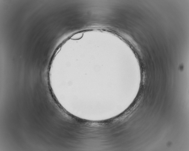 X0000116561412201001211213