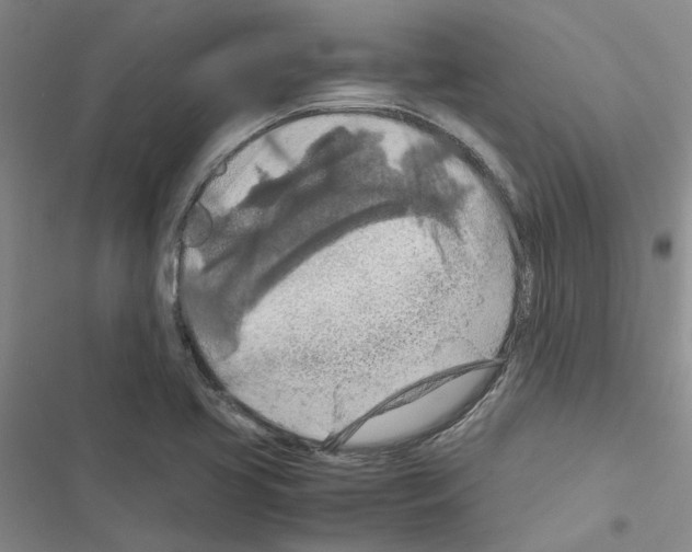 X0000116561413201001211213