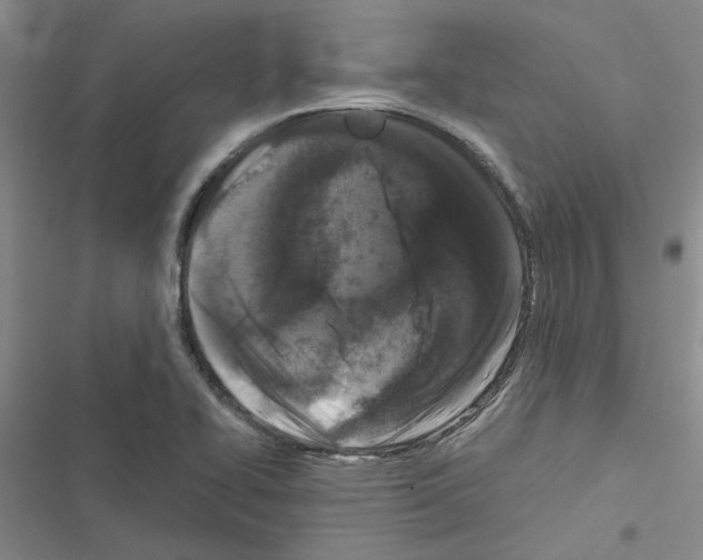 X0000116561414201001211213