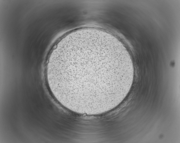 X0000116561416201001211213