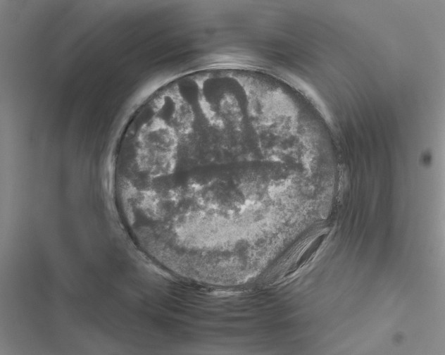 X0000116561419201001211213