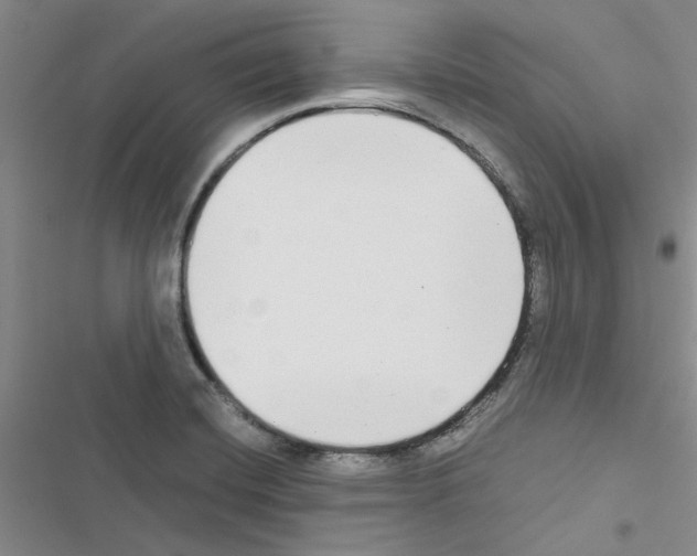 X0000116561420201001211213