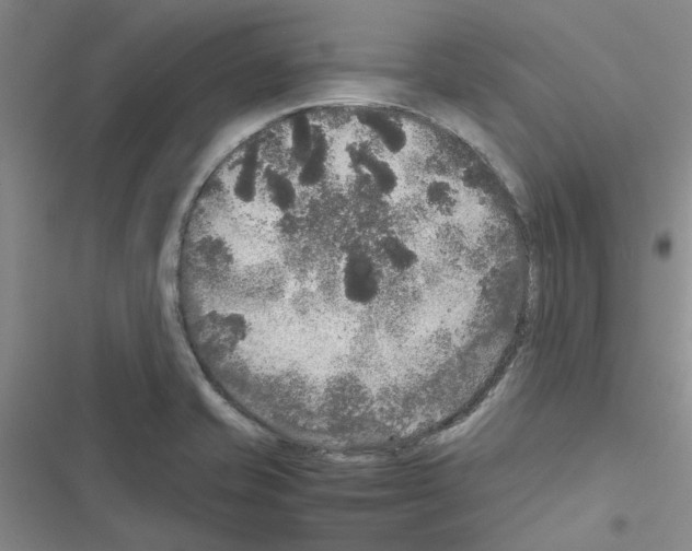 X0000116561421201001211213