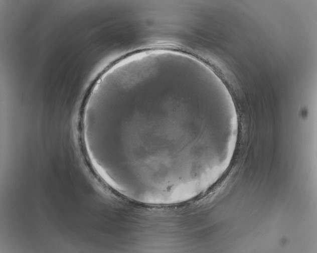 X0000116561422201001211213