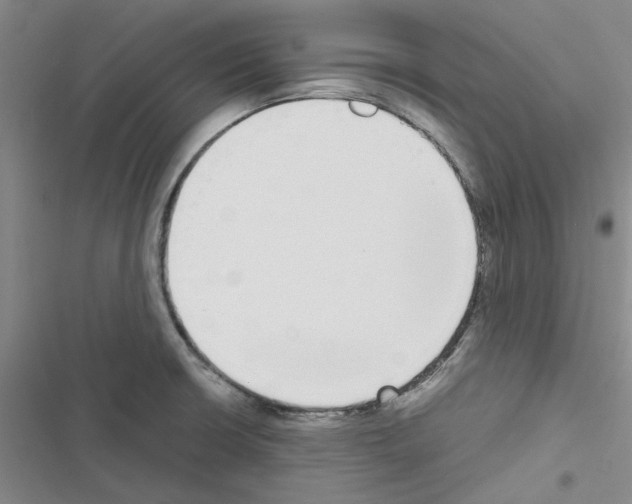 X0000116561426201001211213