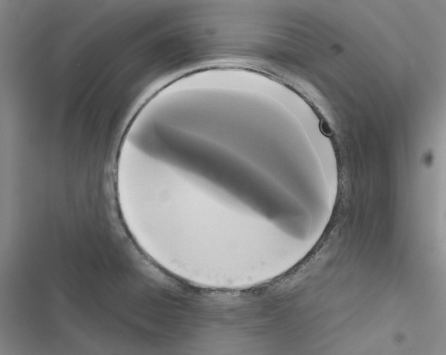 X0000116561428201001211213