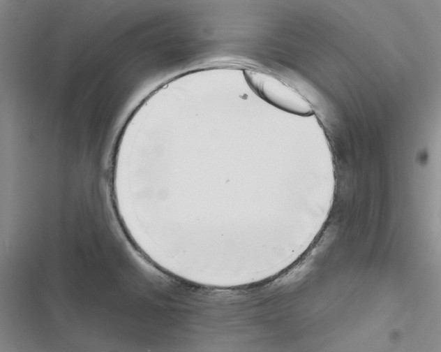X0000116561430201001211213