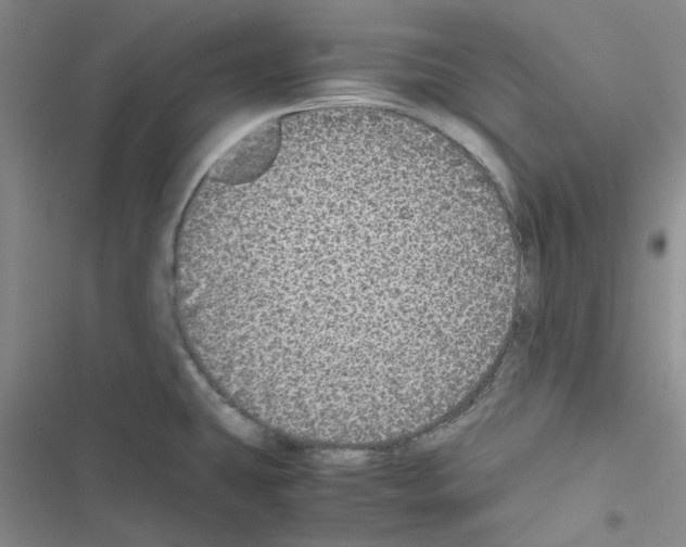X0000116561431201001211213