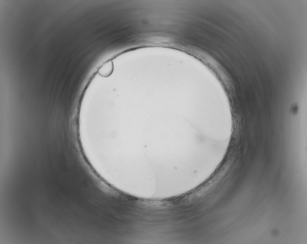 X0000116561432201001211213