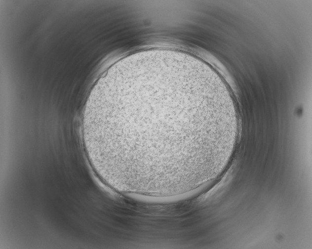 X0000116561433201001211213