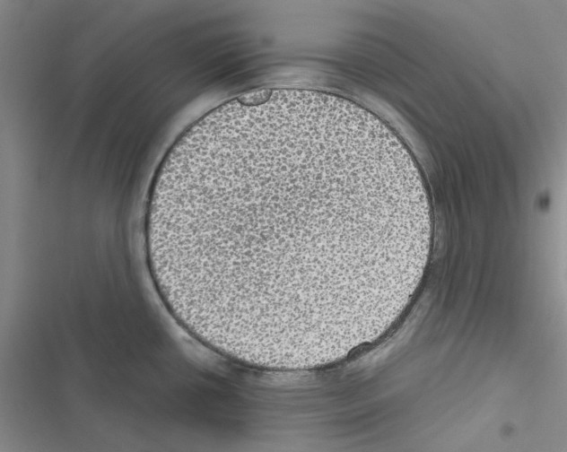 X0000116561434201001211213