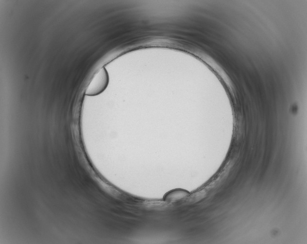 X0000116561437201001211213